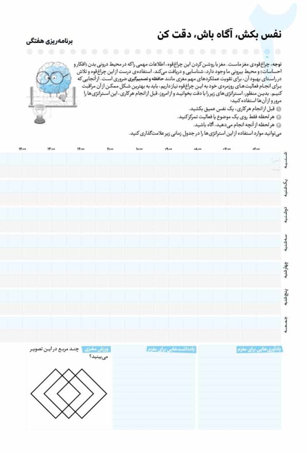 مغزینه توجه و تمرکز