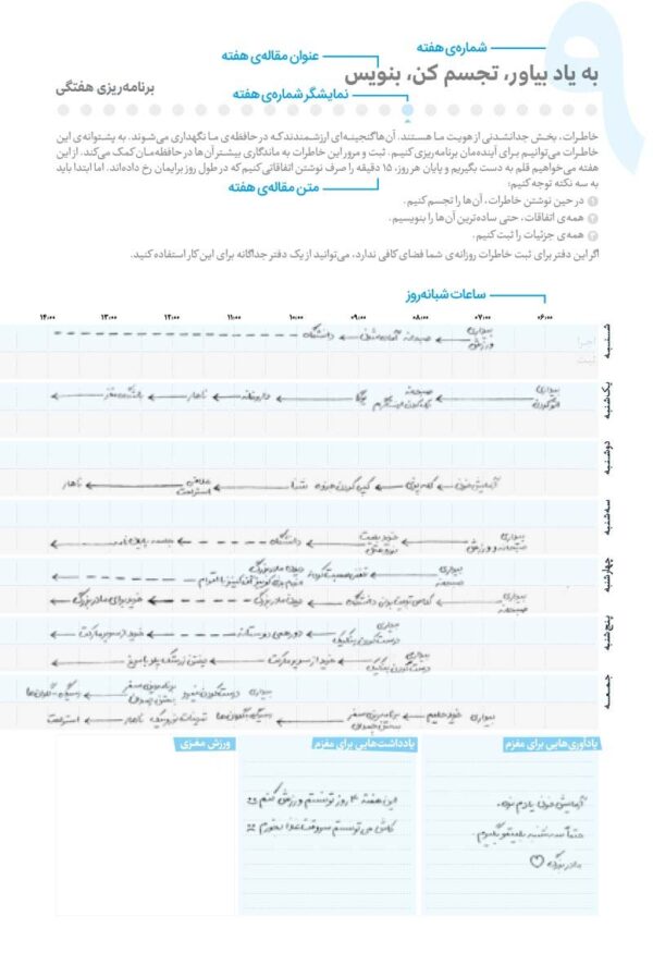 مغزینه توجه و تمرکز