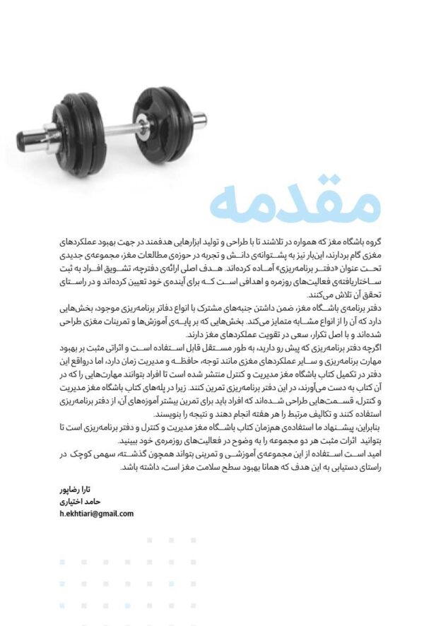 مغزینه توجه و تمرکز