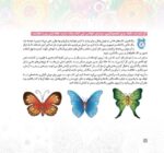 بگرد و پیدا کن