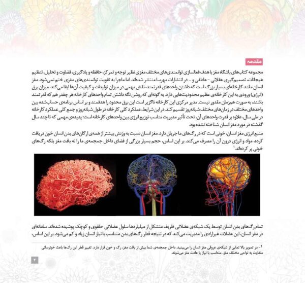 بگرد و پیدا کن