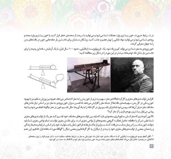 بگرد و پیدا کن