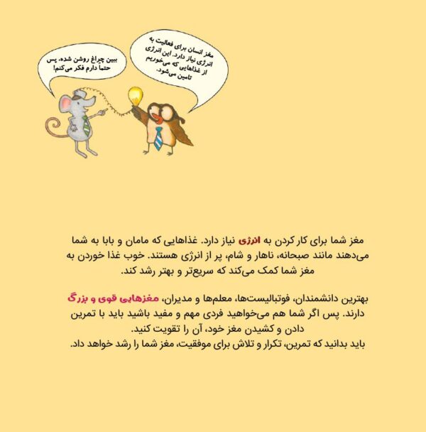 نمی توانم چیز میزهایم را پیدا کنم