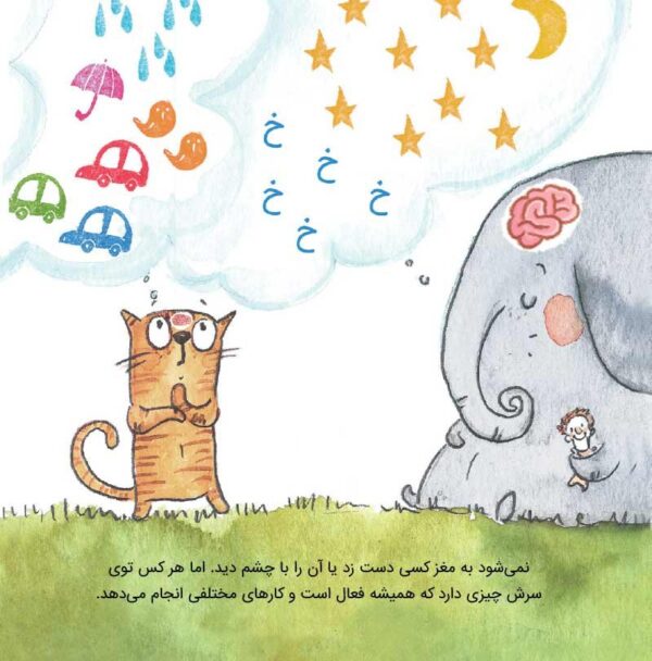 خانواده شبیه کیک است