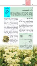 تمرین درمان روان شناختی مواد محرک