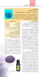 تمرین درمان روان شناختی مواد محرک