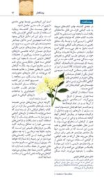 تمرین درمان روان شناختی مواد محرک
