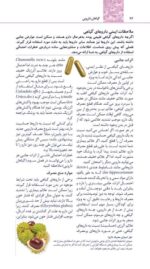 تمرین درمان روان شناختی مواد محرک