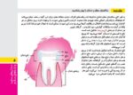 گنجینهی مغزی