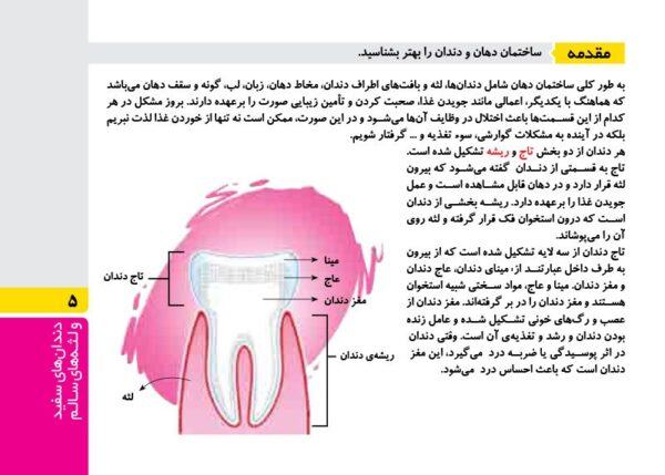 گنجینه‌ی مغزی