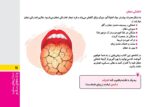 گنجینهی مغزی