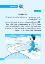 ماجرای کلهپاچه شیرینی خامهای و اعتیاد