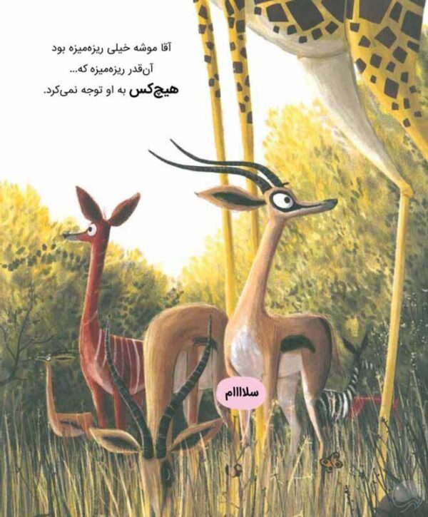 کوالایی که دیگه میتونه