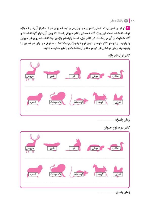باشگاه مغز (2) - توجه و تمرکز