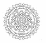 باشگاه مغز (3) - حافظه و یادگیری