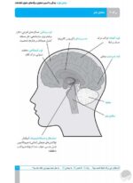 جاده های مارپیچ