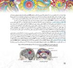 مارپیچهای اقیانوسی