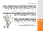 درمان نگهدارنده چیست و چگونه عمل میکند؟