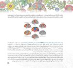 مغز من و رنگآمیزی - مدیریت تمایلات و احساسات