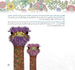 مغز من و رنگآمیزی - مدیریت تمایلات و احساسات