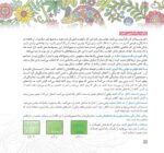 مغز من و رنگآمیزی - مدیریت تمایلات و احساسات