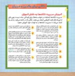 مغز خمیری، مغز سنگی