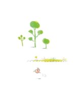 این منم رزا پارکس
