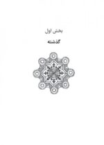 شبکه ی جهانی جاسوسان - عملیات پاریس