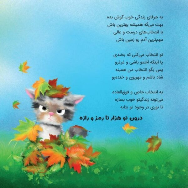کلمه های شگفت انگیز من