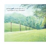 میخواهم چه کاره شوم؟