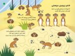 تخته ی بازی - سرزمین تک شاخ ها
