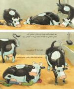 لیزه لوته حوصله نداره