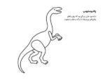 لیزه لوته خوابش نمی بره