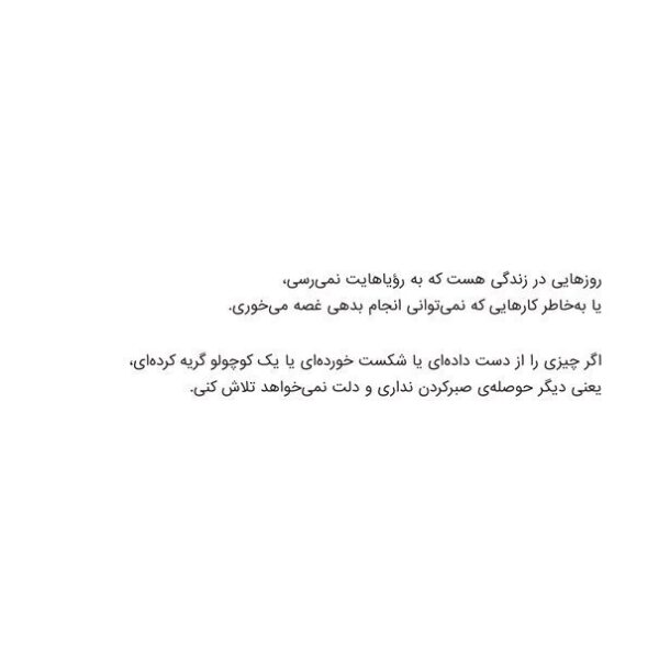 گربه ی سیزدهم