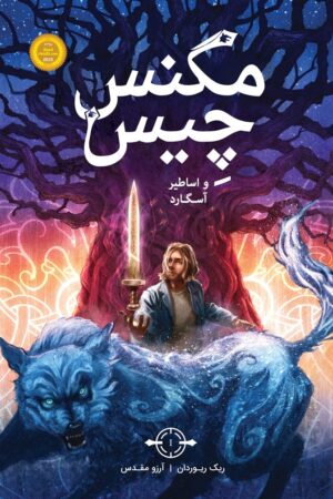 مجموعه مگنس